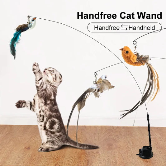 Self Standing Cat Wand